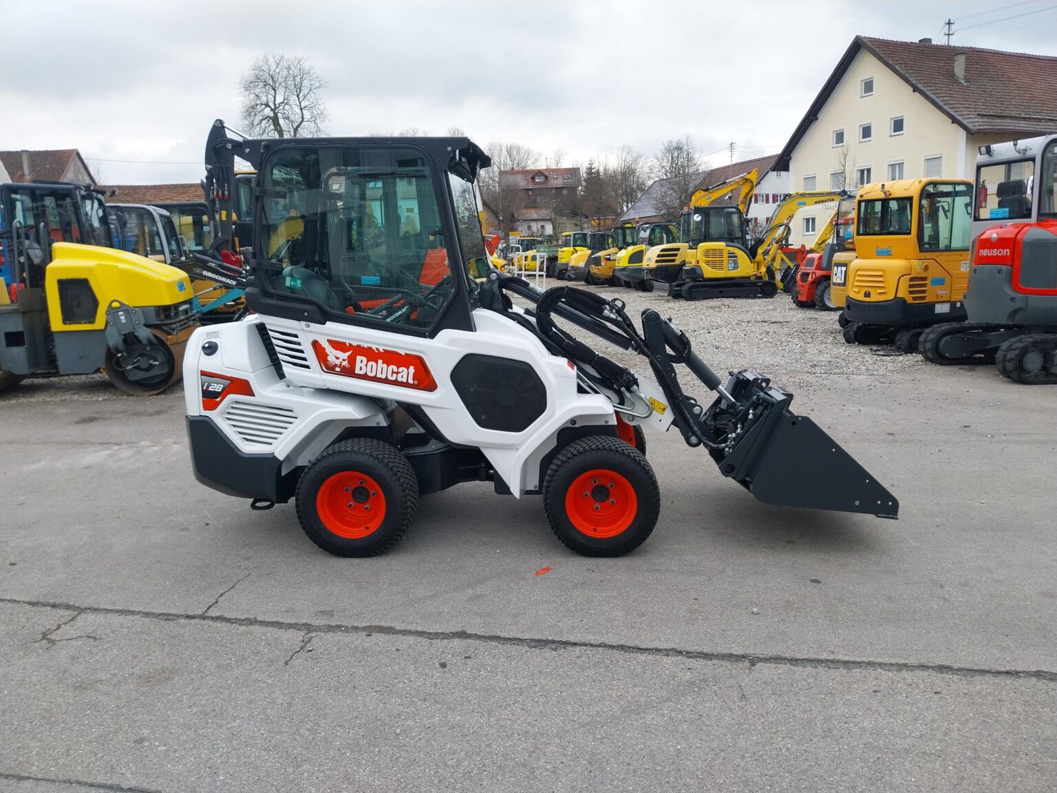 full_Bobcat_L_28_2021_480_4